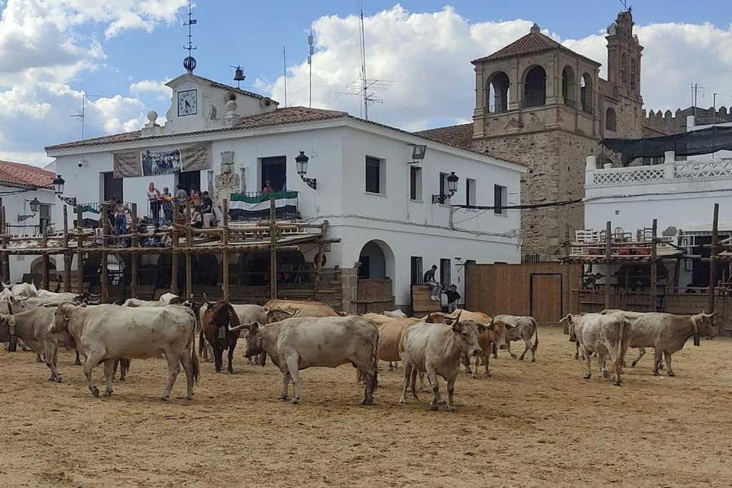 El Zarzal De Segura Villa Segura de Leon Bagian luar foto